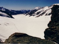 アレッチ氷河