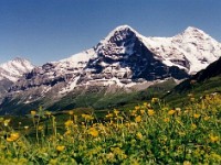 dsc00068