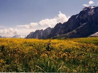 厳しい山な気が続きます