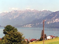 木の向こうがインターラーケン；乗り換え地点です。