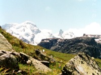 img761