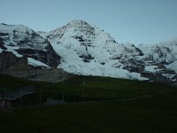 swiss114