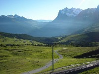 swiss135