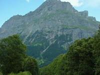 白濁する川の色