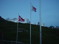 swiss215