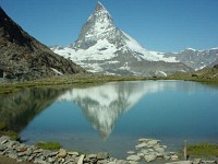 swiss257