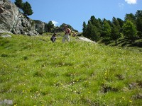 swiss269