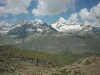swiss313