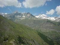 swiss315