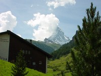 swiss319