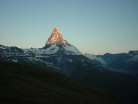 swiss341