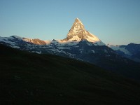 swiss344