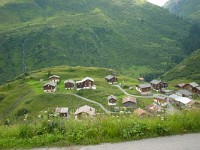 swiss369