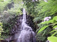 DSC00804