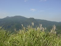 DSC00824