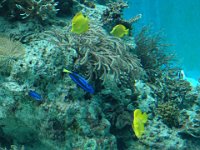 水族館です