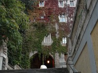 DSC 2821