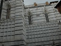 DSC 2904