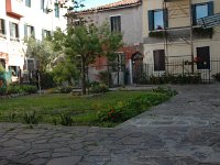 DSC 3003