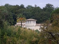 IMGP0515
