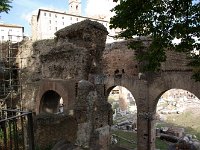 IMGP0576