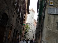 IMGP0806