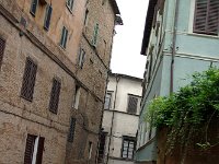 IMGP0817