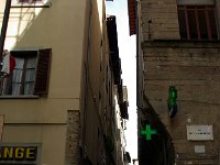 IMGP0867
