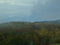 IMGP0929