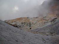 IMGP4600