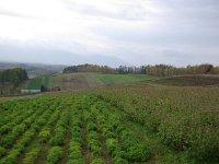 IMGP4609