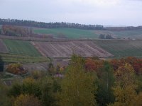 IMGP4610