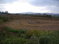 IMGP4614