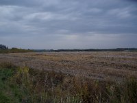 IMGP4616