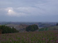 IMGP4617