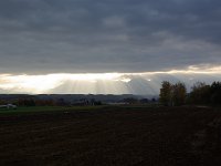 IMGP4646