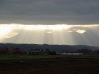 IMGP4647