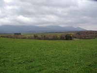 IMGP4662