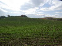 IMGP4664