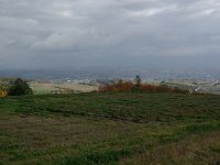 IMGP4670