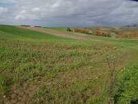 IMGP4679