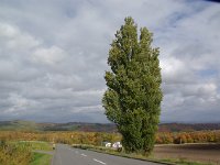 IMGP4681