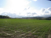 IMGP4683
