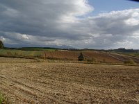 IMGP4691