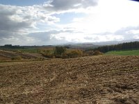 IMGP4692