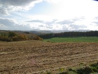 IMGP4695
