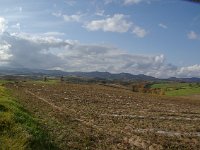 IMGP4696