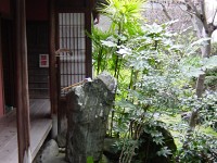 DSC00028