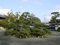 DSC00044
