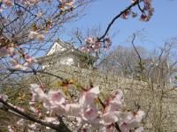DSC00047